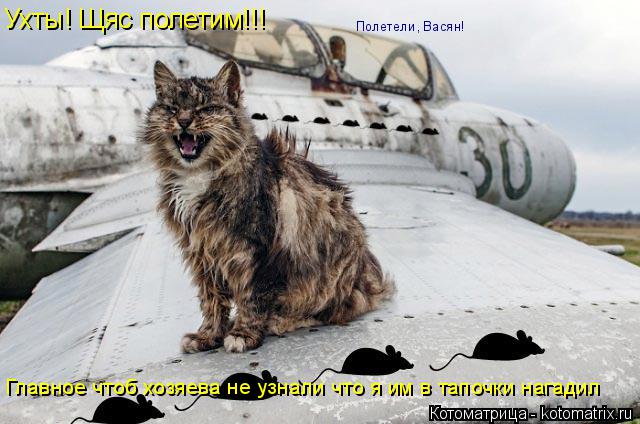 Главное чтоб хозяева не узнали что я им в тапочки нагадил Полетели, Васян! Ухты! Щяс полетим!!!... Котоматрица: Главное чтоб хозяева не узнали что я им в тапочки нагадил Полетели, Васян! Ухты! Щяс полетим!!!