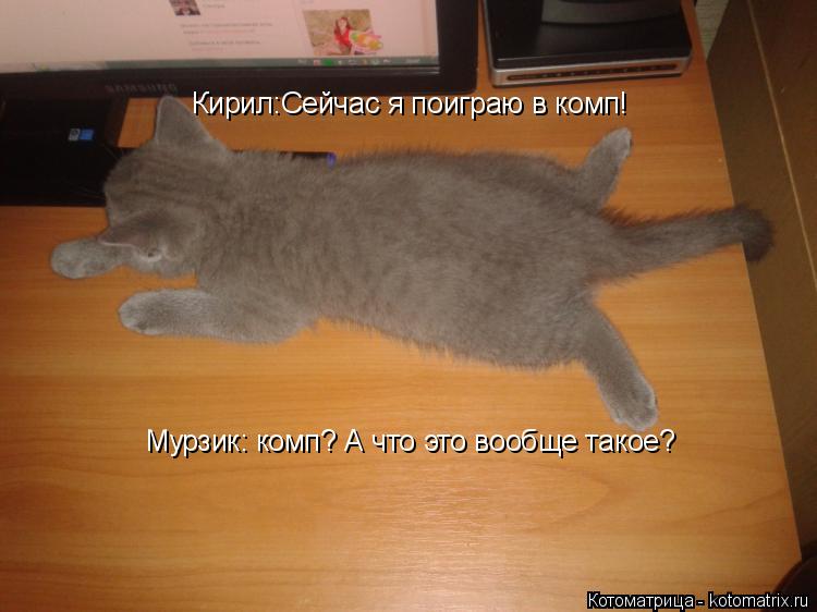 Кирил:Сейчас я поиграю в комп! Мурзик: комп? А что это вообще такое?... Котоматрица: Кирил:Сейчас я поиграю в комп! Мурзик: комп? А что это вообще такое?