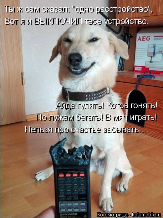 Ты ж сам сказал: "одно расстройство", Вот я и ВЫКЛЮЧИЛ твое устройство. Айда гулять! Котов гонять! По... Котоматрица: Ты ж сам сказал: "одно расстройство", Вот я и ВЫКЛЮЧИЛ твое устройство. Айда гулять! Котов гонять! По лужам бегать! В мяч играть! Нельзя про сча