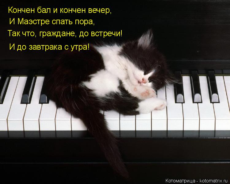 Кончен бал и кончен вечер, И Маэстре спать пора, Так что, граждане, до встречи! И до завтрака с утра!... Котоматрица: Кончен бал и кончен вечер, И Маэстре спать пора, Так что, граждане, до встречи! И до завтрака с утра!