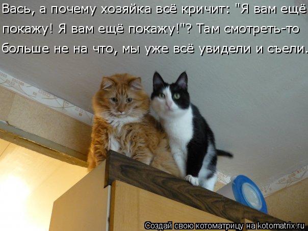 Вась, а почему хозяйка всё кричит: "Я вам ещё покажу! Я вам ещё покажу!"? Там смотреть-то больше не ... Котоматрица: Вась, а почему хозяйка всё кричит: "Я вам ещё покажу! Я вам ещё покажу!"? Там смотреть-то больше не на что, мы уже всё увидели и съели...