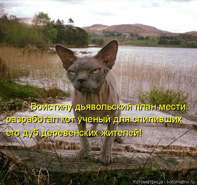 Воистину дьявольский план мести разработал кот ученый для спиливших его дуб деревенских жителей!... Котоматрица: Воистину дьявольский план мести разработал кот ученый для спиливших его дуб деревенских жителей!