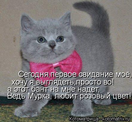 Сегодня,первое свидание моё, хочу я выглядеть,просто во! а этот бант на мне надет, Ведь Мурка, любит ... Котоматрица: Сегодня,первое свидание моё, хочу я выглядеть,просто во! а этот бант на мне надет, Ведь Мурка, любит розовый цвет!