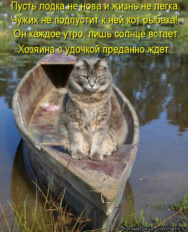 Котоматрица: Пусть лодка не нова и жизнь не легка, Чужих не подпустит к ней кот рыбака! Он каждое утро, лишь солнце встает, Хозяина с удочкой преданно ждет