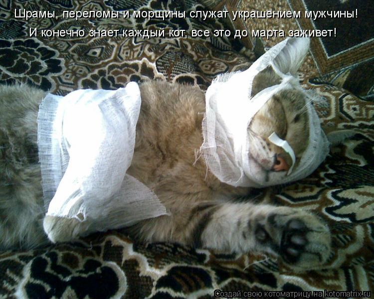 Шрамы, переломы и морщины служат украшением мужчины! И конечно знает каждый кот, все это до марта заж... Котоматрица: Шрамы, переломы и морщины служат украшением мужчины! И конечно знает каждый кот, все это до марта заживет!