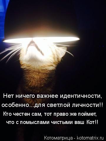 Нет ничего важнее идентичности, особенно...для светлой личности!! Кто честен сам, тот право же поймет... Котоматрица: Нет ничего важнее идентичности, особенно...для светлой личности!! Кто честен сам, тот право же поймет, что с помыслами чистыми ваш Кот!!