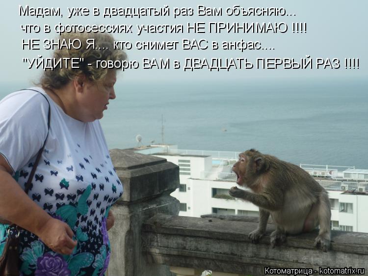 Мадам, уже в двадцатый раз Вам объясняю... что в фотосессиях участия НЕ ПРИНИМАЮ !!!! НЕ ЗНАЮ Я.... к... Котоматрица: Мадам, уже в двадцатый раз Вам объясняю... что в фотосессиях участия НЕ ПРИНИМАЮ !!!! НЕ ЗНАЮ Я.... кто снимет ВАС в анфас.... "УЙДИТЕ" - говорю ВАМ