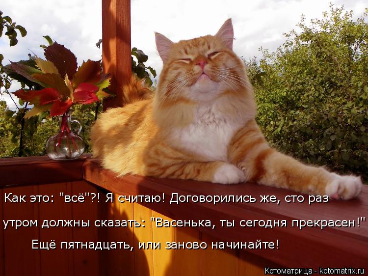 Как это: "всё"?! Я считаю! Договорились же, сто раз утром должны сказать: "Васенька, ты сегодня прекр... Котоматрица: Как это: "всё"?! Я считаю! Договорились же, сто раз утром должны сказать: "Васенька, ты сегодня прекрасен!" Ещё пятнадцать, или заново начинайте