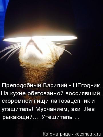 Преподобный Василий - НЕгодник, На кухне обетованной воссиявший, скоромной пищи лапозацепник и рыкающ... Котоматрица: Преподобный Василий - НЕгодник, На кухне обетованной воссиявший, скоромной пищи лапозацепник и рыкающий.... Утешитель ... утащитель! Мурчание
