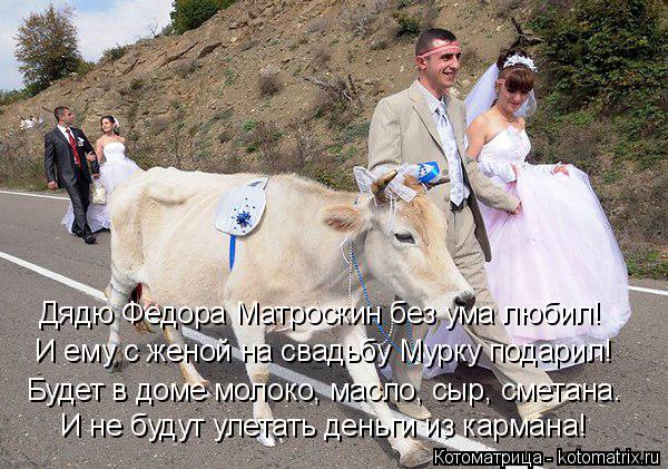 Дядю Федора Матроскин без ума любил! И ему с женой на свадьбу Мурку подарил! Будет в доме молоко, ма... Котоматрица: Дядю Федора Матроскин без ума любил! И ему с женой на свадьбу Мурку подарил! Будет в доме молоко, масло, сыр, сметана. И не будут улетать день