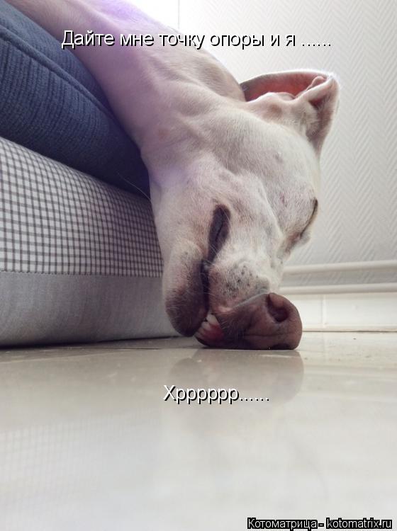 Дайте мне точку опоры и я ...... Хрррррр......... Котоматрица: Дайте мне точку опоры и я ...... Хрррррр......