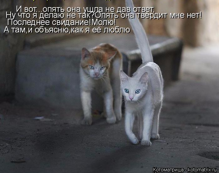 И вот...опять она ушла не дав ответ, Ну что я делаю не так?Опять она твердит мне нет! Последнее свида... Котоматрица: И вот...опять она ушла не дав ответ, Ну что я делаю не так?Опять она твердит мне нет! Последнее свидание!Молю! А там,и объясню,как я её люблю