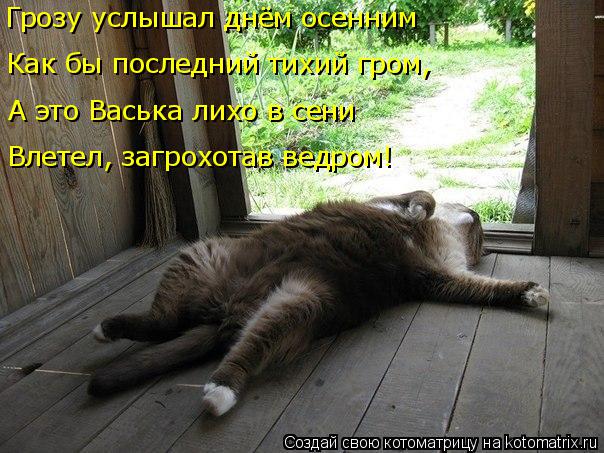 Котоматрица: Грозу услышал днём осенним Как бы последний тихий гром, А это Васька лихо в сени Влетел, загрохотав ведром!