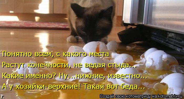Понятно всем, с какого места Растут конечности, не ведая стыда... Какие именно? Ну...нижние, известно... Котоматрица: Понятно всем, с какого места Растут конечности, не ведая стыда... Какие именно? Ну...нижние, известно... А у хозяйки-верхние! Такая вот беда...