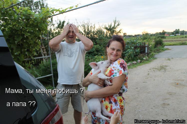 Мама, ты меня любишь ? а папа ??... Котоматрица: Мама, ты меня любишь ? а папа ??