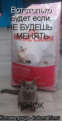 Вотстолько Будет если, НЕ БУДЕШЬ МЕНЯТЬ ЛОТОК... Котоматрица: Вотстолько Будет если, НЕ БУДЕШЬ МЕНЯТЬ ЛОТОК