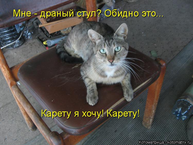 Мне - драный стул? Обидно это... Карету я хочу! Карету!... Котоматрица: Мне - драный стул? Обидно это... Карету я хочу! Карету!