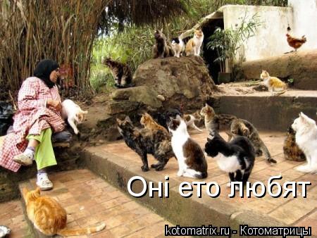 Оні ето любят... Котоматрица: Оні ето любят