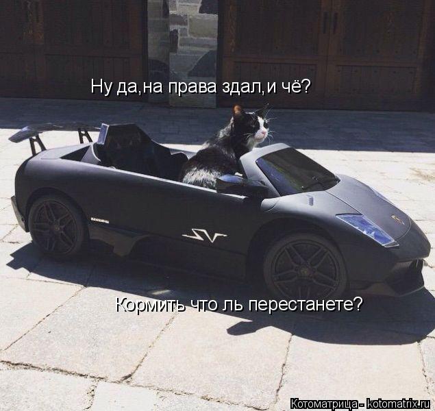 Ну да,на права здал,и чё? Кормить что ль перестанете?... Котоматрица: Ну да,на права здал,и чё? Кормить что ль перестанете?