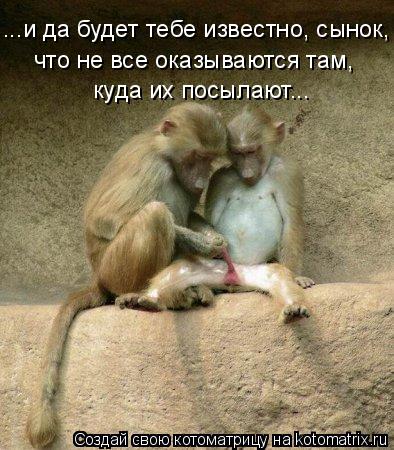 ...и да будет тебе известно, сынок, что не все оказываются там, куда их посылают...... Котоматрица: ...и да будет тебе известно, сынок, что не все оказываются там, куда их посылают...