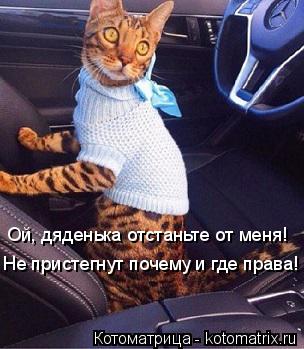 Ой, дяденька отстаньте от меня! Не пристегнут почему и где права!... Котоматрица: Ой, дяденька отстаньте от меня! Не пристегнут почему и где права!