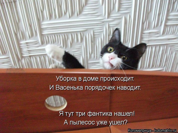 Я тут три фантика нашел! Уборка в доме происходит. И Васенька порядочек наводит. А пылесос уже ушел?... Котоматрица: Я тут три фантика нашел! Уборка в доме происходит. И Васенька порядочек наводит. А пылесос уже ушел?