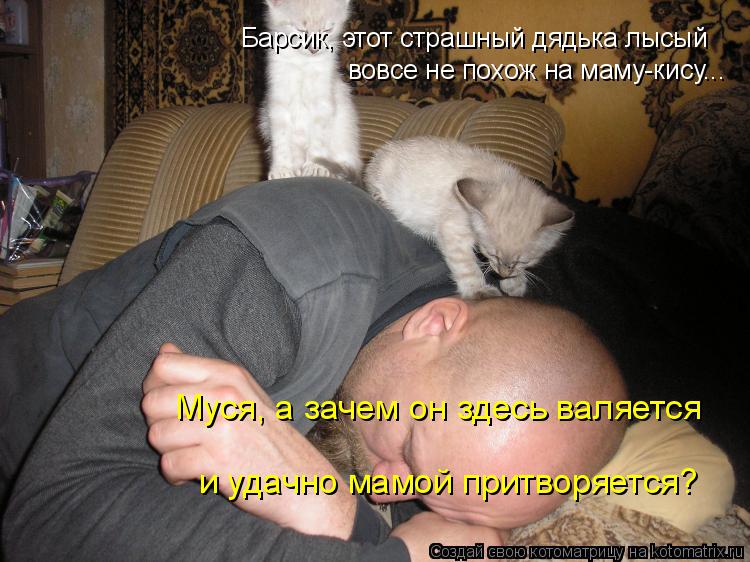 Муся, а зачем он здесь валяется и удачно мамой притворяется? Барсик, этот страшный дядька лысый вовс... Котоматрица: Муся, а зачем он здесь валяется и удачно мамой притворяется? Барсик, этот страшный дядька лысый вовсе не похож на маму-кису...