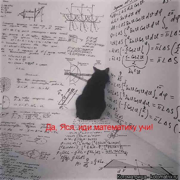 Да, Яся, иди математику учи!... Котоматрица: Да, Яся, иди математику учи!