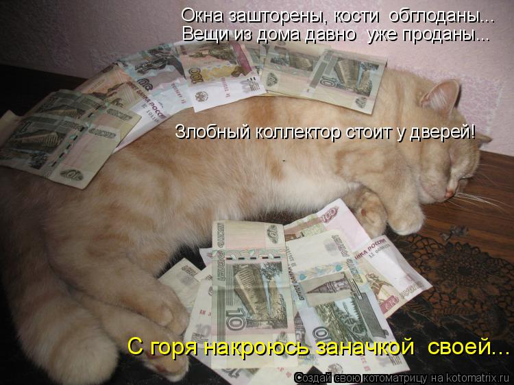 Окна зашторены, кости обглоданы... Вещи из дома давно уже проданы... С горя накроюсь заначкой свое... Котоматрица: Окна зашторены, кости обглоданы... Вещи из дома давно уже проданы... С горя накроюсь заначкой своей... Злобный коллектор стоит у дверей!