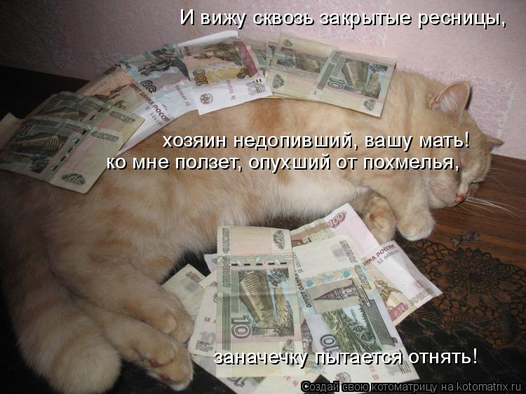 И вижу сквозь закрытые ресницы, заначечку пытается отнять! хозяин недопивший, вашу мать! ко мне полз... Котоматрица: И вижу сквозь закрытые ресницы, заначечку пытается отнять! хозяин недопивший, вашу мать! ко мне ползет, опухший от похмелья,