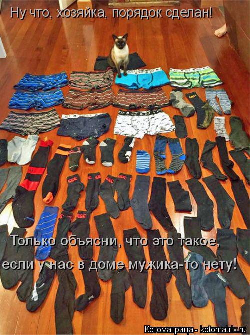 Ну что, хозяйка, порядок сделан! Только объясни, что это такое, если у нас в доме мужика-то нету!... Котоматрица: Ну что, хозяйка, порядок сделан! Только объясни, что это такое, если у нас в доме мужика-то нету!