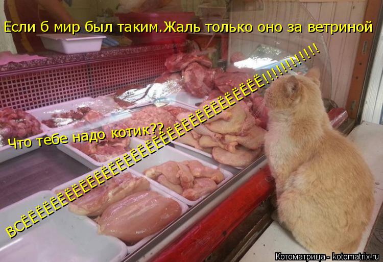 Если б мир был таким.Жаль только оно за ветриной Что тебе надо котик?? ВСЁЁЁЁЁЁЁЁЁЁЁЁЁЁЁЁЁЁЁЁЁЁЁЁЁЁЁЁ... Котоматрица: Если б мир был таким.Жаль только оно за ветриной Что тебе надо котик?? ВСЁЁЁЁЁЁЁЁЁЁЁЁЁЁЁЁЁЁЁЁЁЁЁЁЁЁЁЁЁЁЁЁЁ!!!!!!!!!!!!