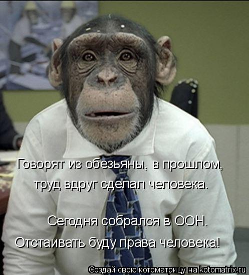 Сегодня собрался в ООН. Отстаивать буду права человека! труд вдруг сделал человека. Говорят из обезья... Котоматрица: Сегодня собрался в ООН. Отстаивать буду права человека! труд вдруг сделал человека. Говорят из обезьяны, в прошлом,