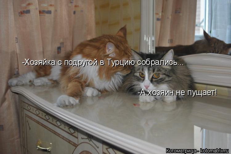 -Хозяйка с подругой в Турцию собрались... -А хозяин не пущает!... Котоматрица: -Хозяйка с подругой в Турцию собрались... -А хозяин не пущает!
