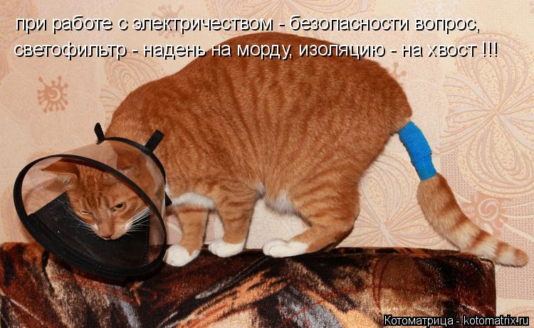 при работе с электричеством - безопасности вопрос, светофильтр - надень на морду, изоляцию - на хвост... Котоматрица: при работе с электричеством - безопасности вопрос, светофильтр - надень на морду, изоляцию - на хвост !!!