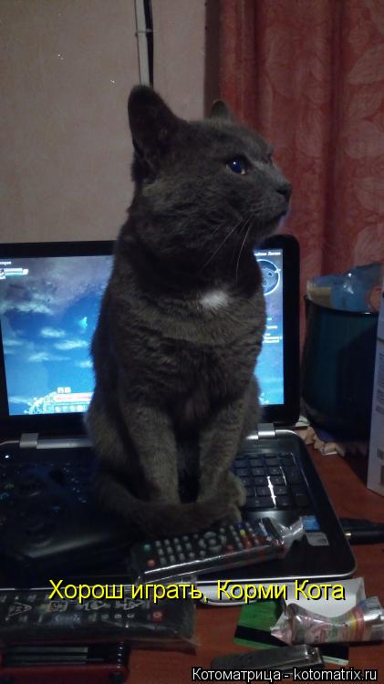 Хорош играть, Корми Кота... Котоматрица: Хорош играть, Корми Кота