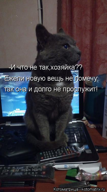 -И что не так,хозяйка?? Ежели новую вещь не помечу.. так она и долго не прослужит!... Котоматрица: -И что не так,хозяйка?? Ежели новую вещь не помечу.. так она и долго не прослужит!