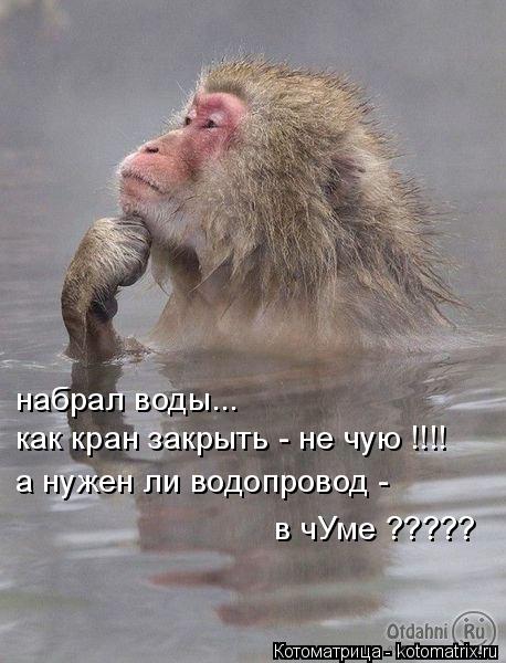 набрал воды... как кран закрыть - не чую !!!! а нужен ли водопровод - в чУме ?????... Котоматрица: набрал воды... как кран закрыть - не чую !!!! а нужен ли водопровод - в чУме ?????