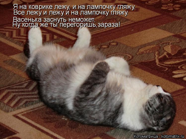 Я на коврике лежу, и на лампочку гляжу. Все лежу и лежу и на лампочку гляжу. Ну когда же ты перегориш... Котоматрица: Я на коврике лежу, и на лампочку гляжу. Все лежу и лежу и на лампочку гляжу. Ну когда же ты перегоришь зараза?. Васенька заснуть неможет. Ну ко