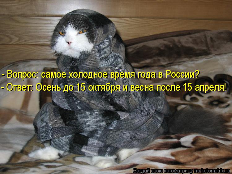 Котоматрица: - Ответ: Осень до 15 октября и весна после 15 апреля! - Вопрос: самое холодное время года в России?
