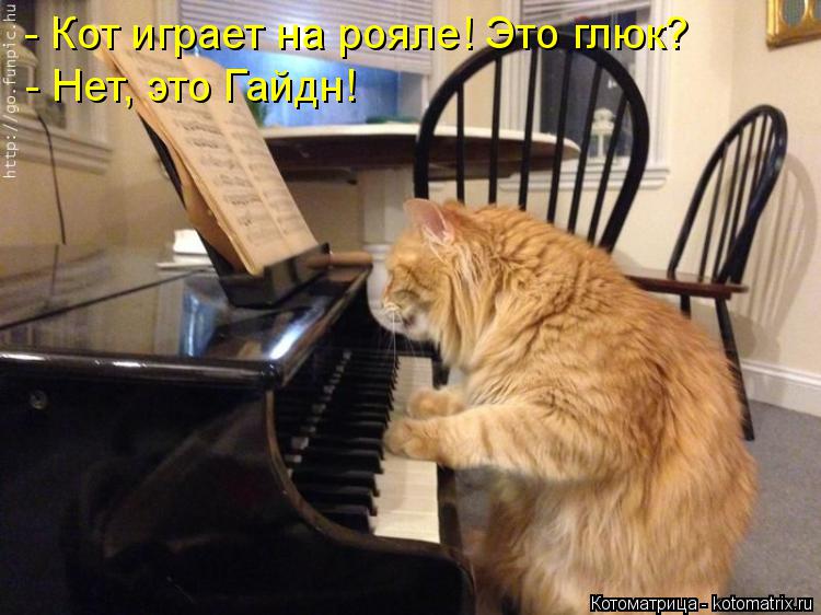 Котоматрица: - Кот играет на рояле! Это глюк? - Нет, это Гайдн!