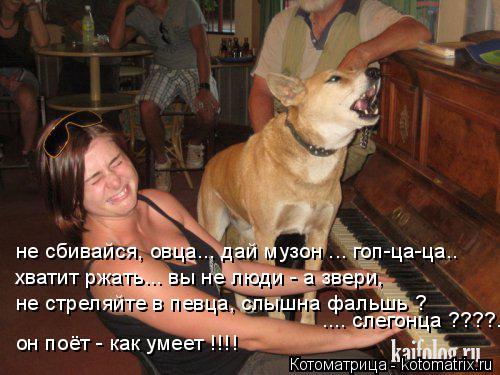 не сбивайся, овца... дай музон ... гоп-ца-ца.. хватит ржать... вы не люди - а звери, не стреляйте в п... Котоматрица: не сбивайся, овца... дай музон ... гоп-ца-ца.. хватит ржать... вы не люди - а звери, не стреляйте в певца, слышна фальшь ? .... слегонца ????... он поёт - к