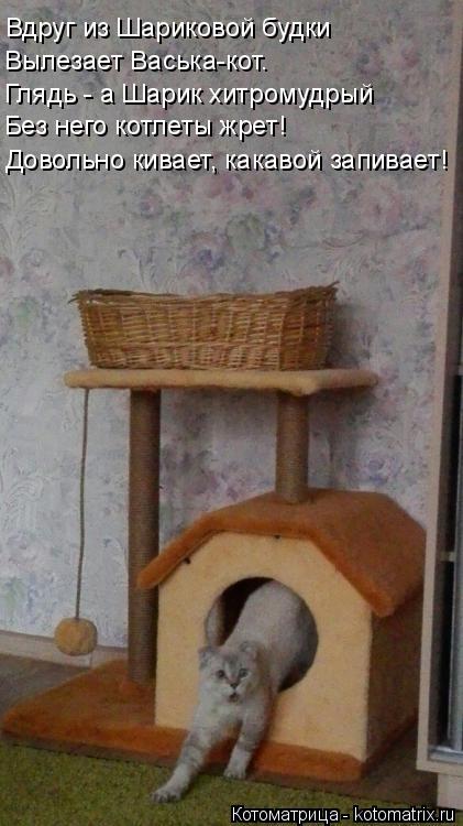 Вдруг из Шариковой будки Вылезает Васька-кот. Глядь - а Шарик хитромудрый Без него котлеты жрет! Дов... Котоматрица: Вдруг из Шариковой будки Вылезает Васька-кот. Глядь - а Шарик хитромудрый Без него котлеты жрет! Довольно кивает, какавой запивает!
