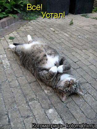 Всё! Устал!... Котоматрица: Всё! Устал!
