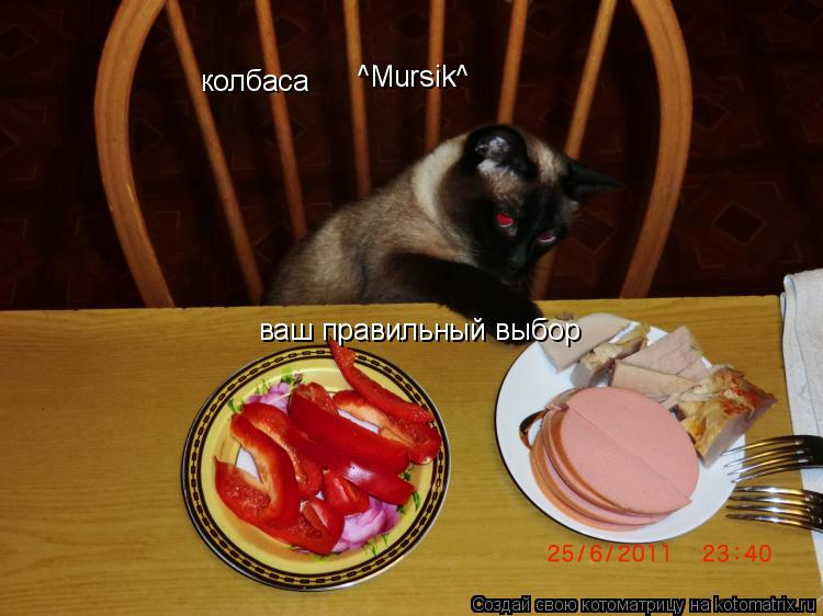 колбаса ^Mursik^ ваш правильный выбор... Котоматрица: колбаса ^Mursik^ ваш правильный выбор