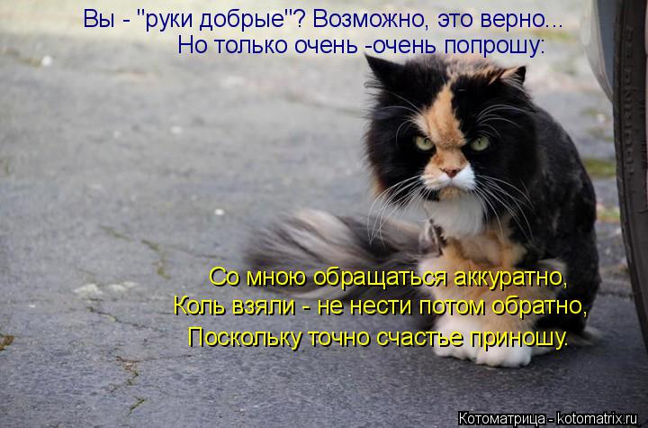 Но только очень -очень попрошу: Со мною обращаться аккуратно, Коль взяли - не нести потом обратно, П... Котоматрица: Но только очень -очень попрошу: Со мною обращаться аккуратно, Коль взяли - не нести потом обратно, Поскольку точно счастье приношу. Вы - "руки