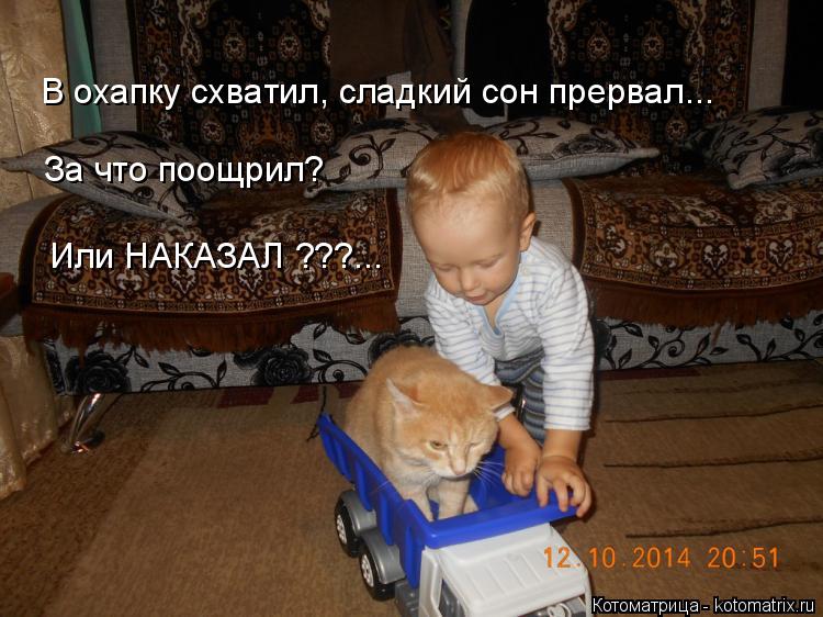 В охапку схватил, сладкий сон прервал... За что поощрил? Или НАКАЗАЛ ???...... Котоматрица: В охапку схватил, сладкий сон прервал... За что поощрил? Или НАКАЗАЛ ???...