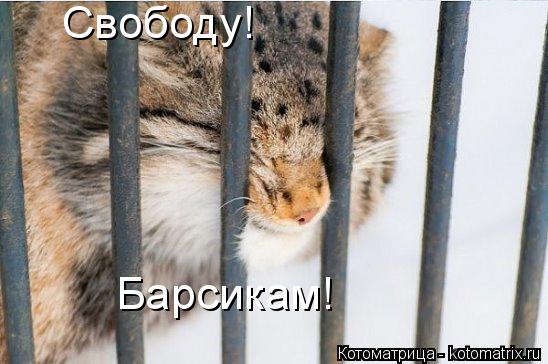 Свободу! Барсикам!... Котоматрица: Свободу! Барсикам!