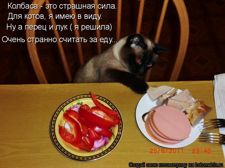 Котоматрица: Колбаса - это страшная сила. Для котов, я имею в виду. Ну а перец и лук ( я решила) Очень странно считать за еду...