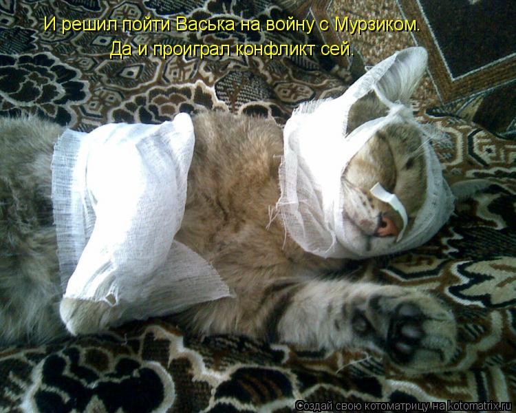 Котоматрица: И решил пойти Васька на войну с Мурзиком. Да и проиграл конфликт сей.